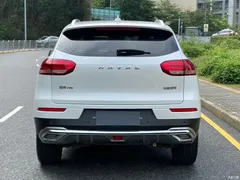 2020 Haval H6 2.0GDIT AT Platinum Champion, белый — фото 21