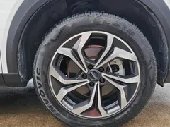 2022 Haval Shenshou 1.5T, белый — фото 16
