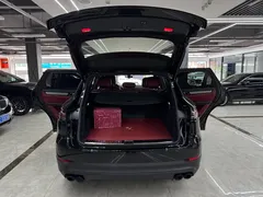 2023 Porsche Cayenne 3.0T Platinum Edition, чёрный — фото 22