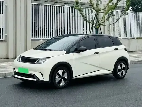 2023 BYD Dolphin 420km Fashion
