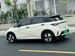 2023 BYD Dolphin 420km Fashion — фото 3