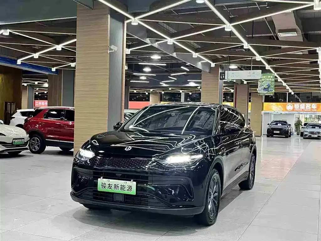 2023 Leapmotor C11 180