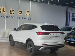 2021 Haval H6 1.5T AT Guochao Urban, белый — фото 7