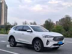 2021 Haval F7 2.0T 2WD Fan, белый — фото 3