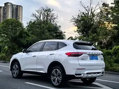 2021 Haval F7 2.0T 2WD Fan, белый — фото 4