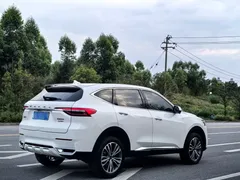 2021 Haval F7 2.0T 2WD Fan, белый — фото 6