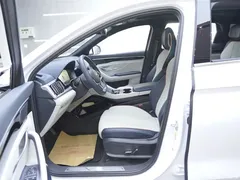 2023 BYD Song PLUS New Energy Champion DM-i 150KM Flagship PLUS, белый — фото 11