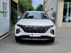 2021 Hyundai Tucson Tucson L 1.5T DCT LUX Premium, белый — фото 2