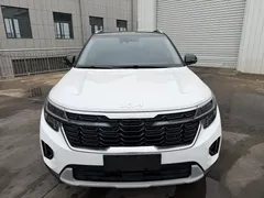 2023 Kia Seltos 1.5L CVT Luxury, белый — фото 2