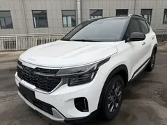 2023 Kia Seltos 1.5L CVT Luxury, белый — фото 3