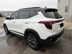 2023 Kia Seltos 1.5L CVT Luxury, белый — фото 5