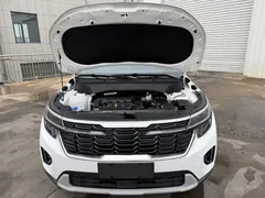 2023 Kia Seltos 1.5L CVT Luxury, белый — фото 13