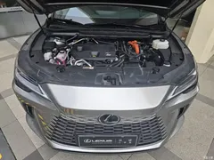 2023 Lexus RX New Energy 450h+ 4WD Enjoy — фото 11