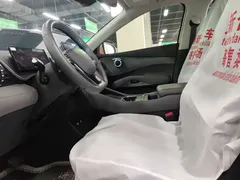 2025 BYD Yuan PLUS EV 510km Smart Driving Exceed — фото 4