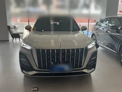 2023 Hongqi HS5 2.0T 4WD Pro — фото 12