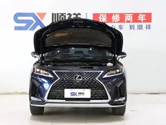 2020 Lexus RX modified 300 2WD Elite, синий — фото 18