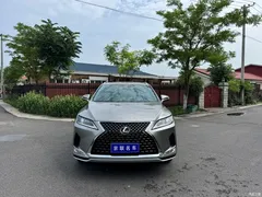 2020 Lexus RX modified 300 2WD Elite — фото 2