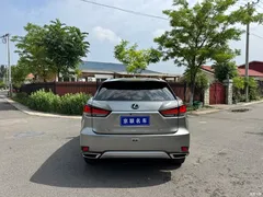 2020 Lexus RX modified 300 2WD Elite — фото 13