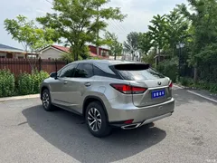 2020 Lexus RX modified 300 2WD Elite — фото 14