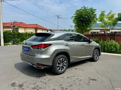2020 Lexus RX modified 300 2WD Elite — фото 15