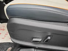 2021 BYD PLUS DM-i 110KM PLUS — фото 6