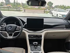 2021 BYD PLUS DM-i 110KM PLUS — фото 10