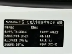 2021 Haval H6 1.5T AT Champion, белый — фото 24