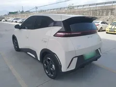 2025 BYD Seagull 305km Freedom, белый — фото 23