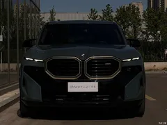 2023 BMW XM Basic Model, зелёный — фото 5