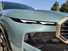 2023 BMW XM Basic Model, зелёный — фото 6