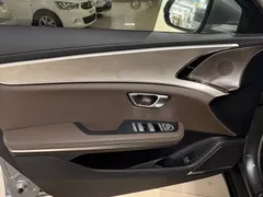 2021 BYD Han EV Standard Range Luxury — фото 13