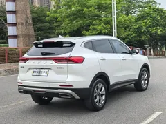 2021 Haval H6 1.5GDIT AT Champion, белый — фото 18