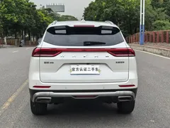 2021 Haval H6 1.5GDIT AT Champion, белый — фото 19