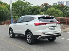 2021 Haval H6 1.5GDIT AT Champion, белый — фото 20