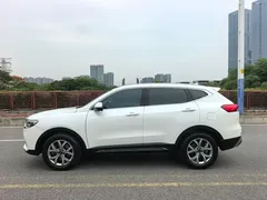 2021 Haval H6 1.5GDIT AT Champion, белый — фото 21