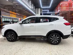 2023 Haval H6 Guochao 1.5T AT Urban, белый — фото 6