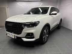 2023 Haval H6 1.5T AT, белый — фото 1