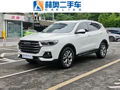 2021 Haval H6 Guochao 1.5T AT Champion, белый — фото 1