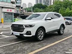 2021 Haval H6 Guochao 1.5T AT Champion, белый — фото 4