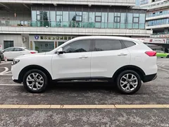 2021 Haval H6 Guochao 1.5T AT Champion, белый — фото 5
