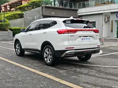 2021 Haval H6 Guochao 1.5T AT Champion, белый — фото 30