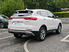 2021 Haval H6 Guochao 1.5T AT Champion, белый — фото 32