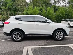 2021 Haval H6 Guochao 1.5T AT Champion, белый — фото 33