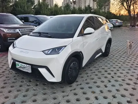 2023 BYD Seagull Vitality