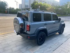 2023 Tank 300 Off-Road 2.0T Conqueror — фото 14