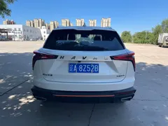 2023 Haval Shenshou 1.5T DHT Hybrid, белый — фото 5
