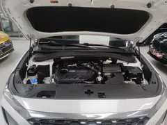 2020 Hyundai Santa Fe 380 TGDi AT 2WD GLS Luxury, белый — фото 20