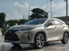 2020 Lexus RX 300 4WD VI — фото 1