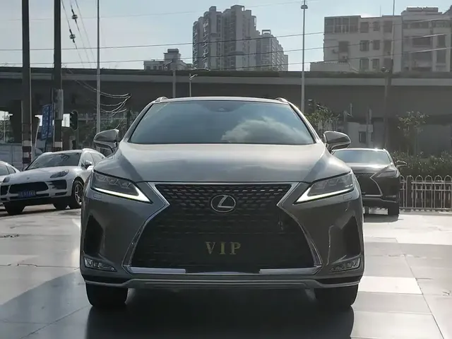 2020 Lexus RX 300 4WD VI