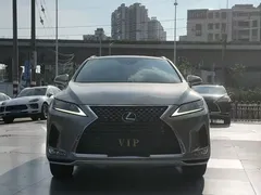 2020 Lexus RX 300 4WD VI — фото 2